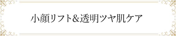 美潤美整DETOXフェイシャル表情美筋小顔リフト