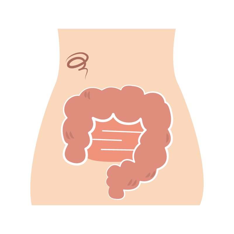 温活や解毒を伴わないダイエット
