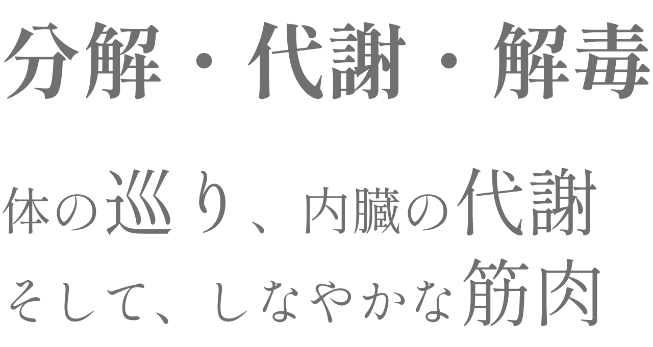 脂肪分解アプローチX代謝機能向上