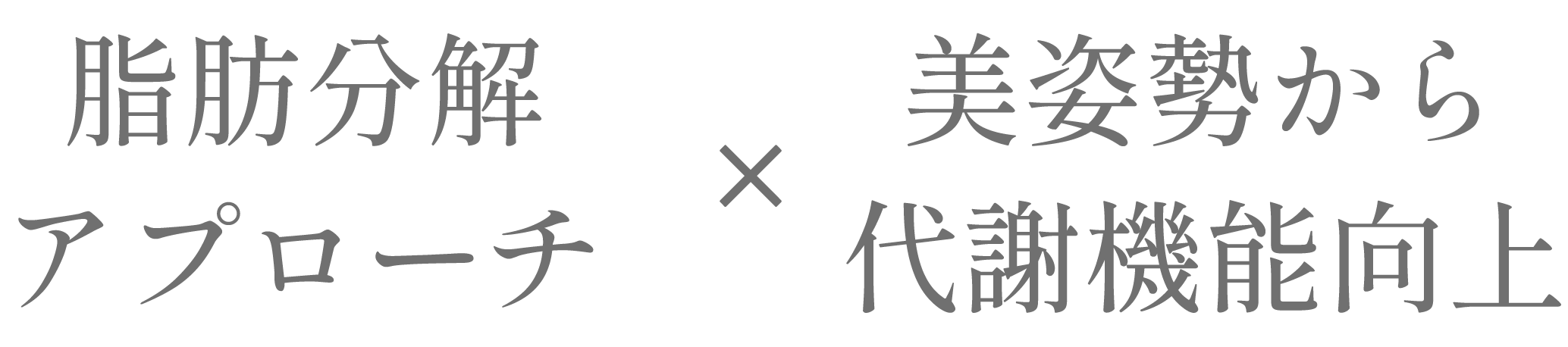 分解・代謝・解毒