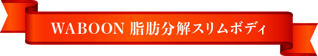 WABOON 脂肪分解スリムボディ