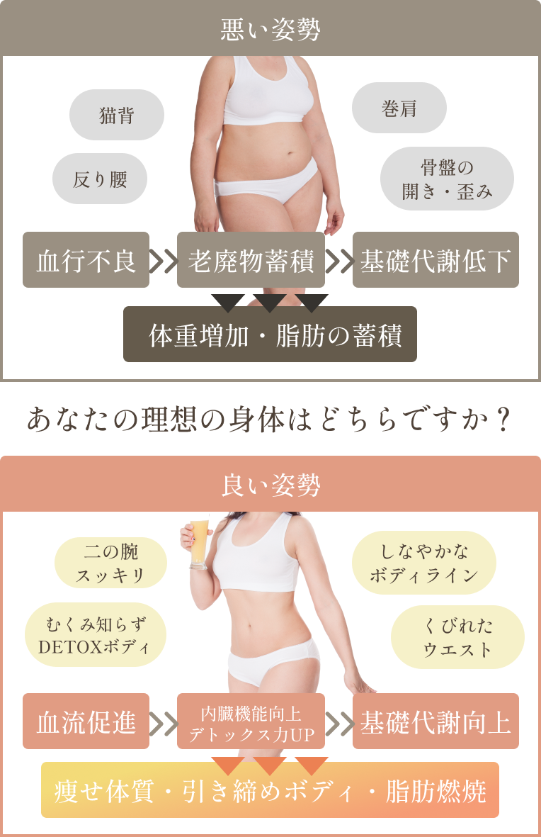 「姿勢」と「代謝」の関係について