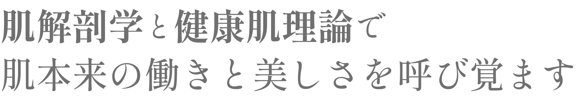 肌本来の動きと美しさを呼び覚える
