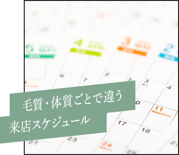 毛質・体質ごとで違う来店スケジュール