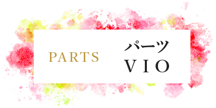 パーツ VIO